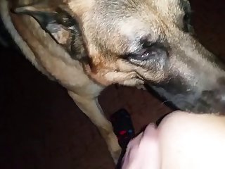 Adult Time Videos