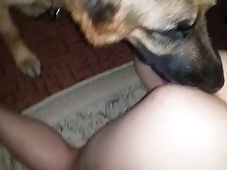 Adult Time Videos