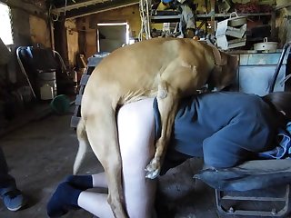 Amateur Bj
