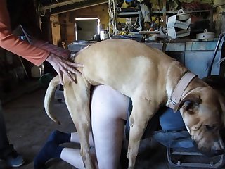 Amateur Bj