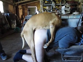 Amateur Bj