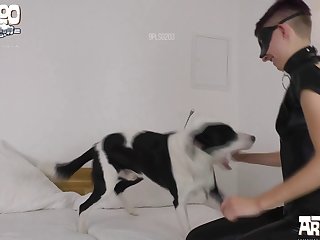 Anime Porm