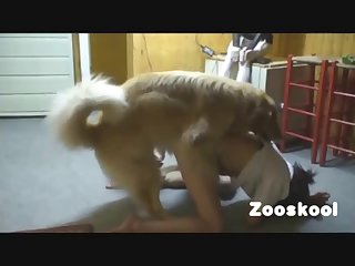 Xhamstertv