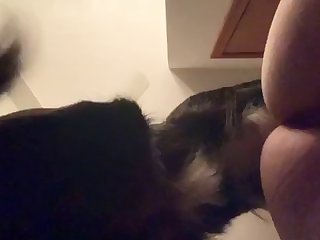 Adult Movies Free