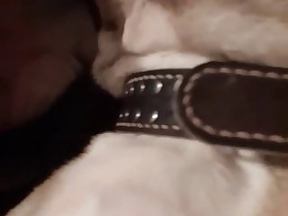 Www Red Tube