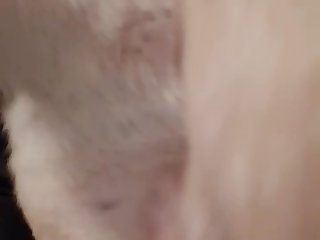 Www Red Tube