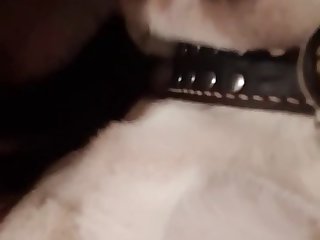 Www Red Tube
