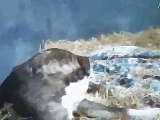 Sxnxx Com