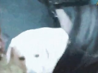 Sxnxx Com