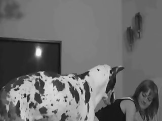 Xhamster Vr