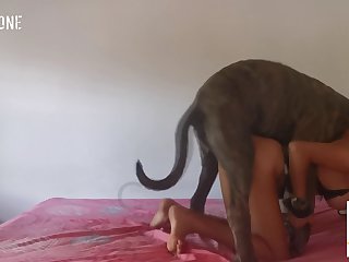 Czech Massage Com