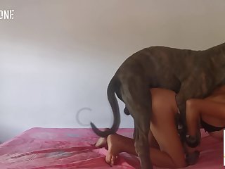 Czech Massage Com