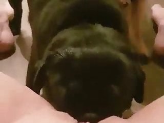 Homemade Amateur Anal
