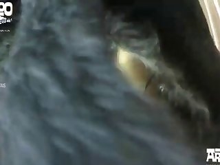 Camera Mini Spy