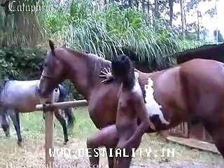 Free Video Movies