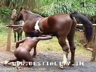Movie Video Movie