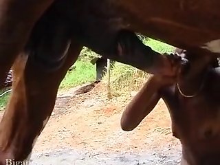 Bam Young Black With Horse 003