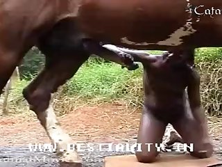 Video Movie Video