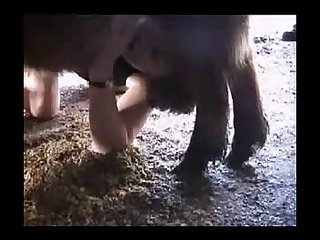 All Videos