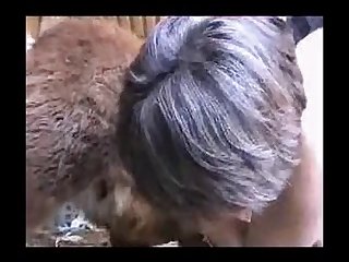 All Videos