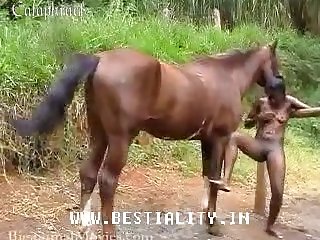 Free To Movies