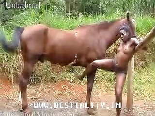 Free To Movies