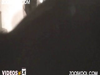The Watch Streaming