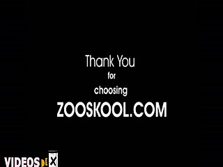 Watch Free Streaming