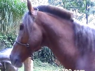Poke At Her Asshole And Knew He Was Getting Ready To Fuck Her Ass Whereas Fisting Her Horse Semen Crammed Cunt