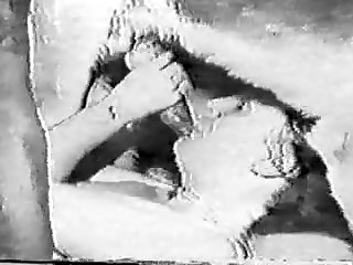 Free Webcam Shows