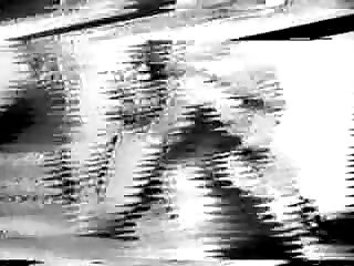 Free Webcam Shows