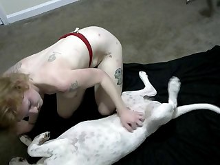 Www Adulttime Com