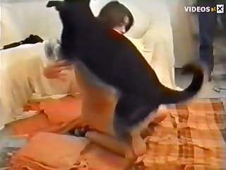 The Best Videos