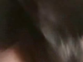 Animal Videos Animal Videos