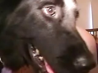 Animal Videos Animal Videos