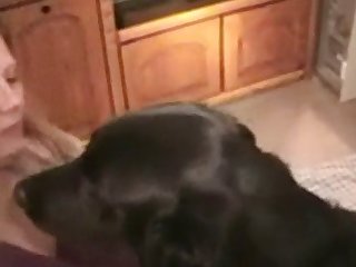 Animal Videos Animal Videos