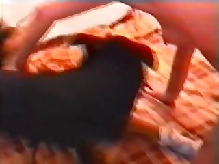 Hd Poren Animal