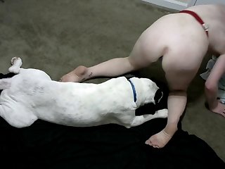 Adult Time Movies