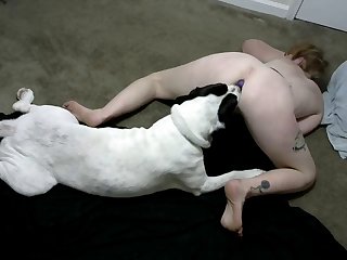 Adult Time Movies