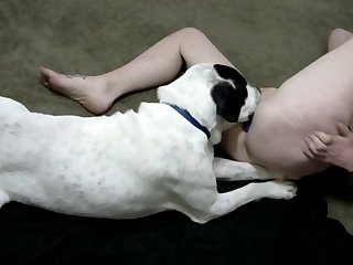 Adult Time Movies