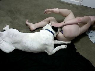 Adult Time Movies