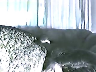 Hqpoener
