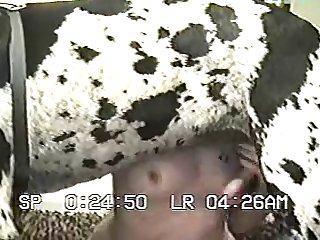Sxx Vid