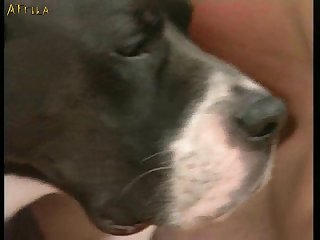 Hent Manhwa Vagina Zoo Cock Dog