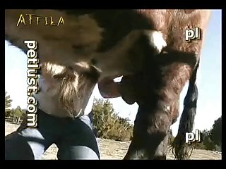 Live Videos