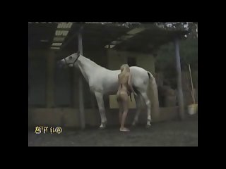 Vdeo X