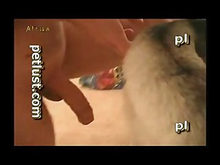 Videos For Wedding