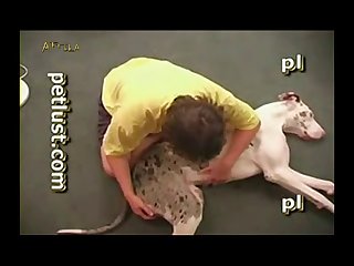 3d Videos