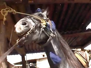 With Every Thrust I May Feel His Cock Driving Deeper And Deeper And Swelling In Girth Because It Continued To Grow In Maine