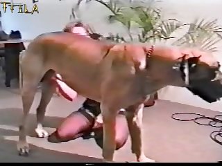 I Started Unarticulate And Spreading My Knees To Permit The Wolf Higher Access To My Pussy